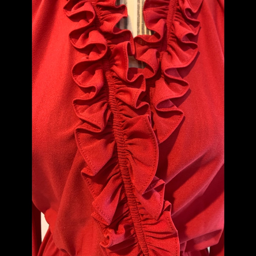 Vintage Ruffled Dress - Picture 3 of 4